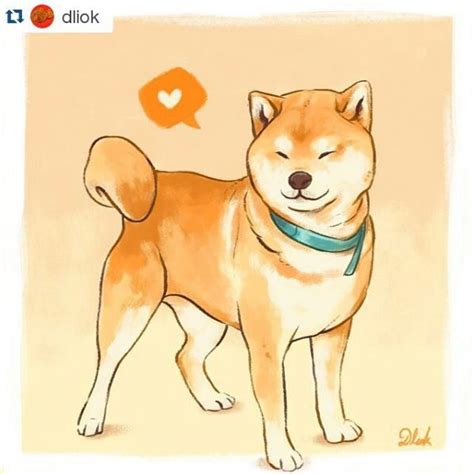 Droll Shiba Inu Puppy Drawing Cute