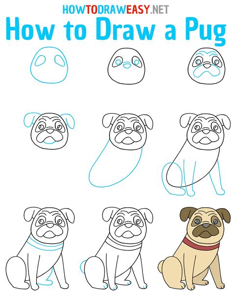 Droll Simple Pug Dog Drawing l2sanpiero