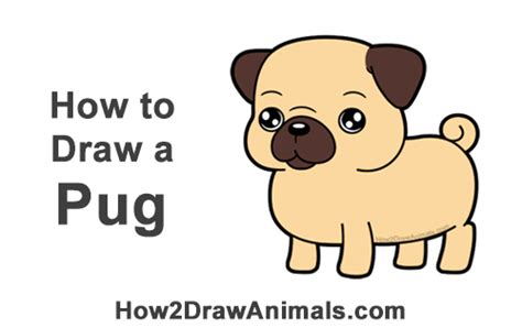 Droll Step By Step Christmas Pug Drawing