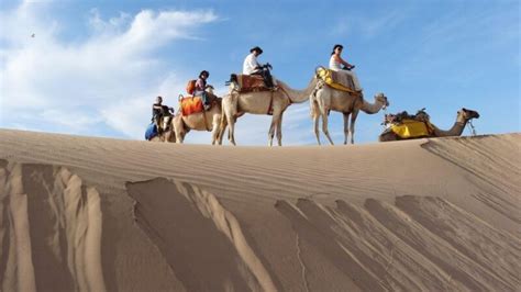 Dromedary Ride Experience