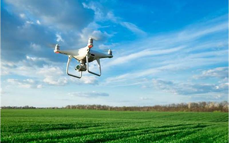 Drones In Environmental Research: Studying Ecosystem Dynamics