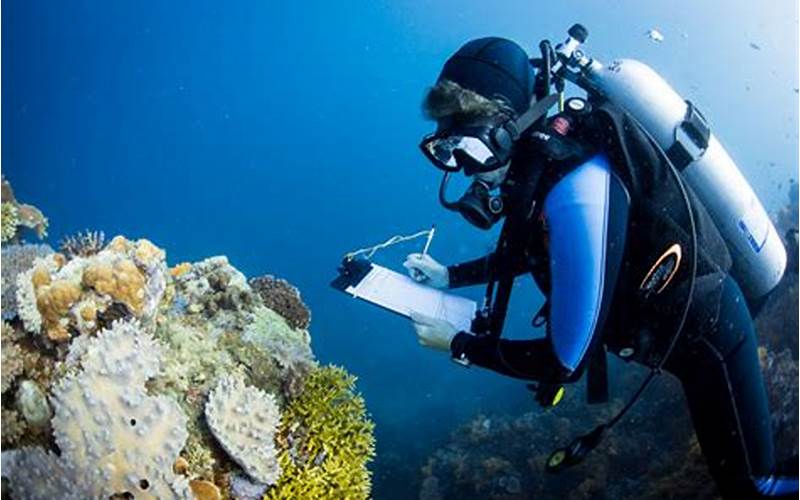 Drones In Marine Environmental Monitoring: Studying Coral Reefs And Marine Life