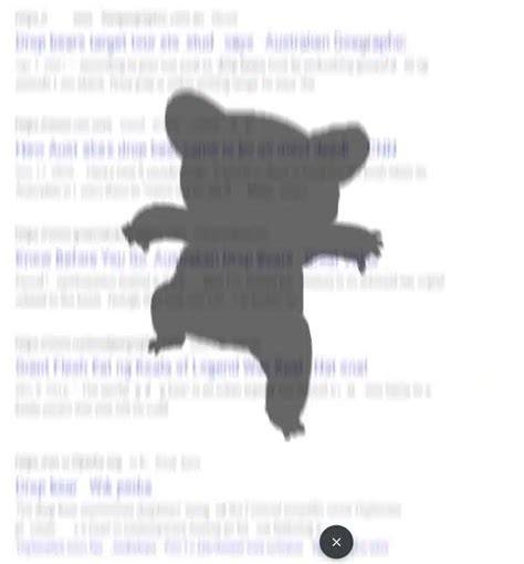 Drop Bear Easter Egg