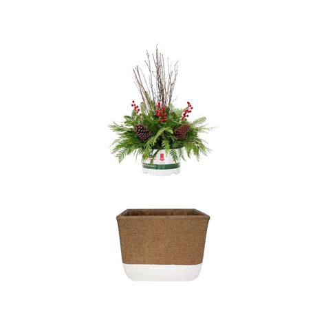 Transform Your Space with Drop N Decorate's Stylish and Versatile Planter Collection!