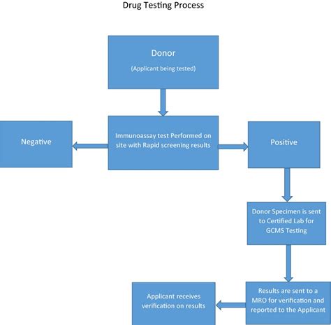 Drug Testing Process