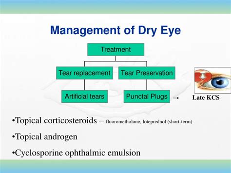 Dry Eye Management