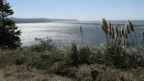 Experience Rustic Luxury: Glamping at Dry Lagoon Camp