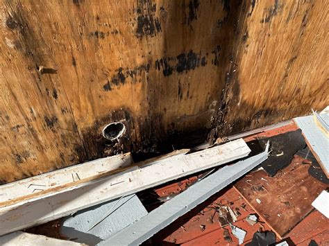 Dry Rot Repair Techniques Seattle
