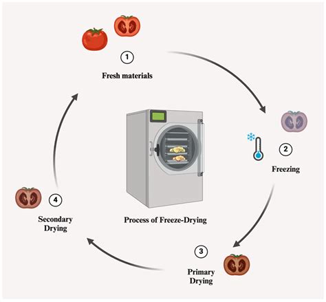 Drying Techniques That Work