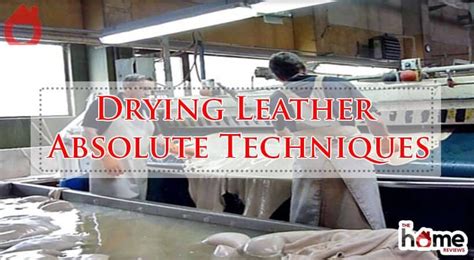 Drying Techniques for Optimal Texture