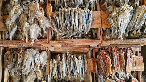 Drying and Preservation