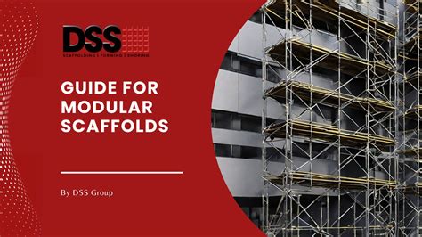 Dss Scaffold Catalog