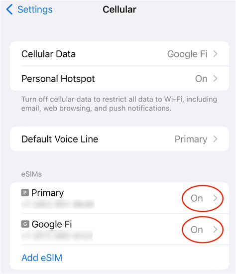 Dual SIM Capabilities and International Roaming