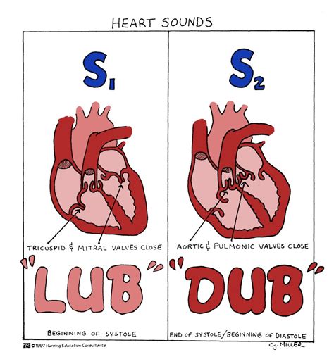 Dub Sound and Heart