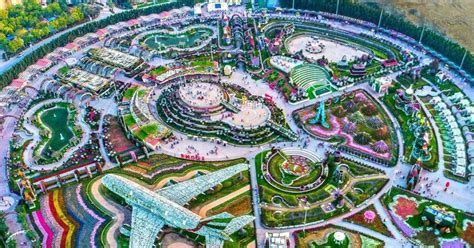 Dubai Miracle Garden Overview