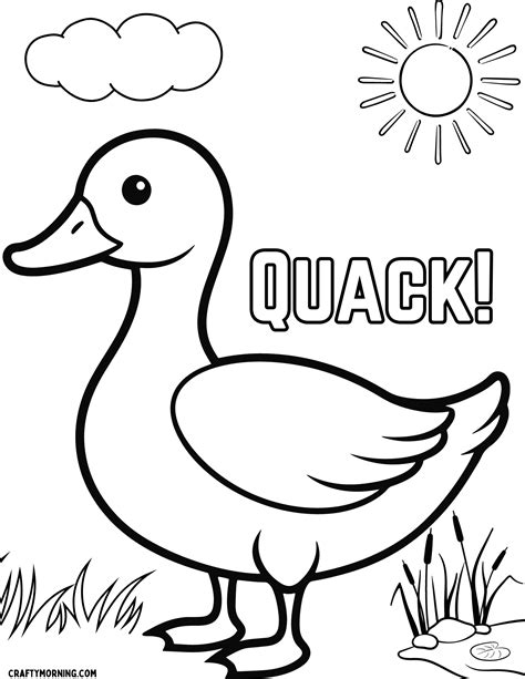 Duck Coloring Pages