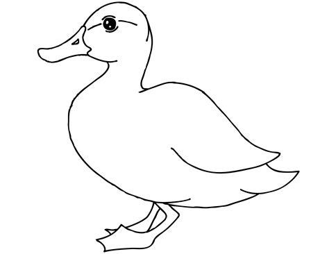 Duck Printable Coloring Pages