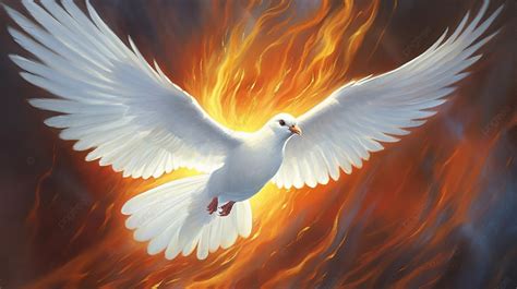 Duif Heilige Geest