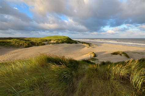 Duinen