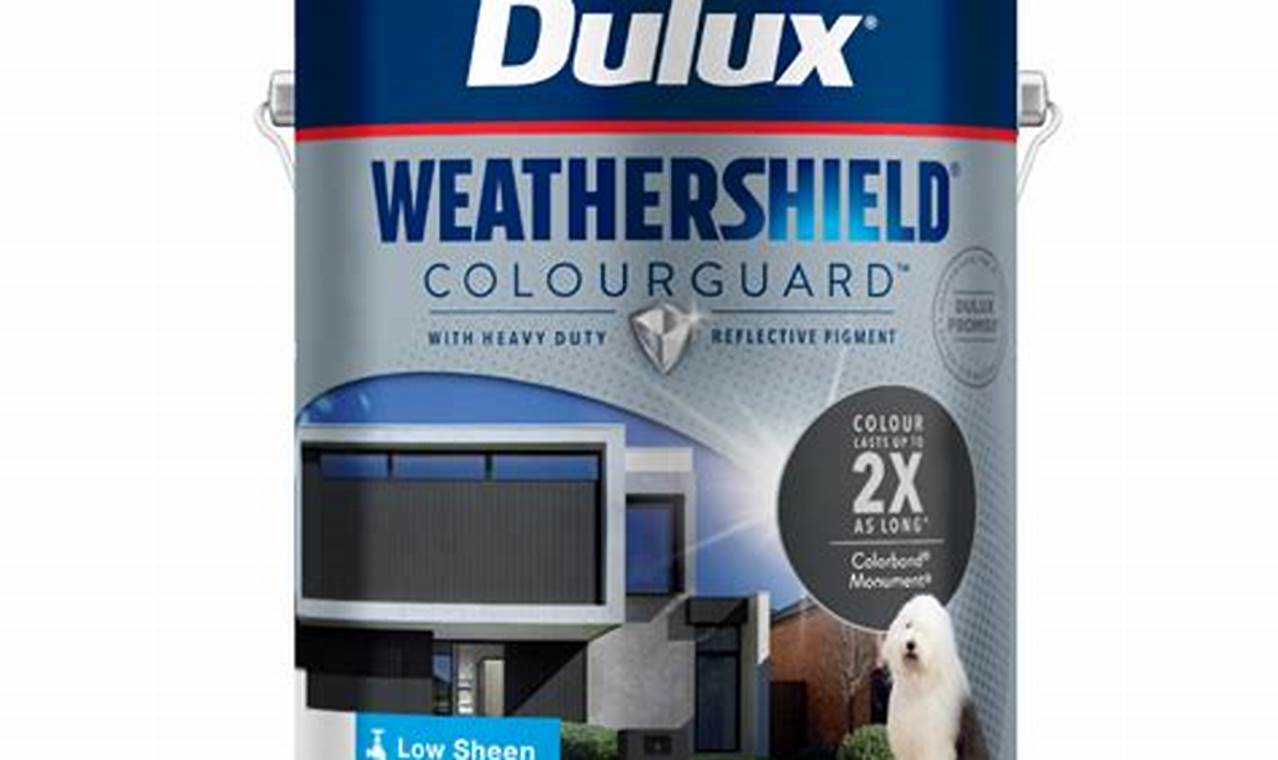 Dulux Weathershield Guard