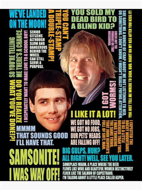 Dumb And Dumber Quotes