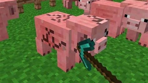 Dumb Cursed Minecraft Images