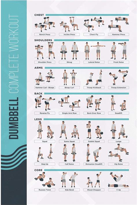 Dumbbell  Workout Routine