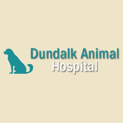 Dundalk Animal Hospital's Convenient Walk-In Hours for Your Pet's Urgent Care Needs