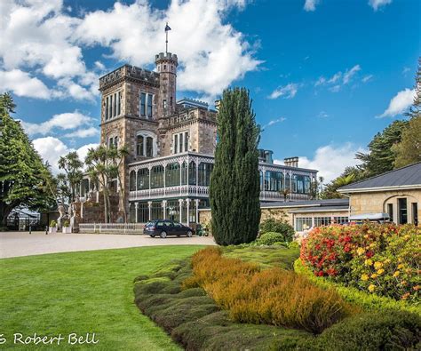 Dunedin Attractions
