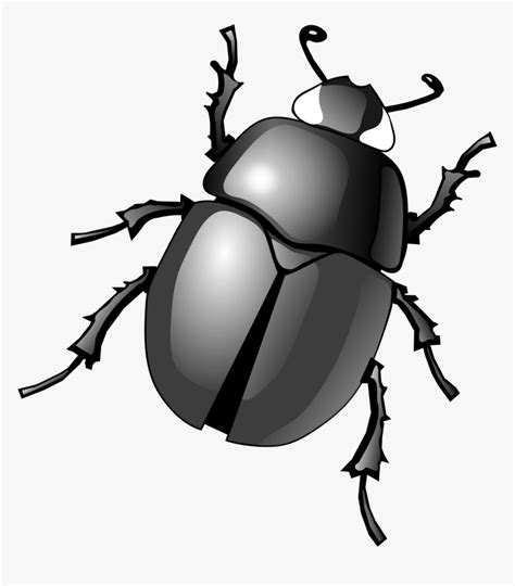 Beetle ClipArt