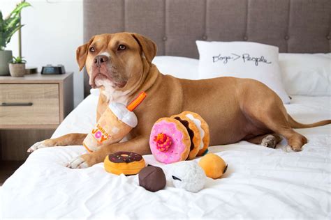 Dunkin Dog Toy