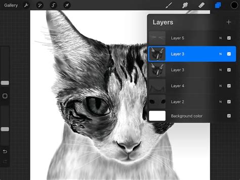 Duplicating A Layer On Procreate