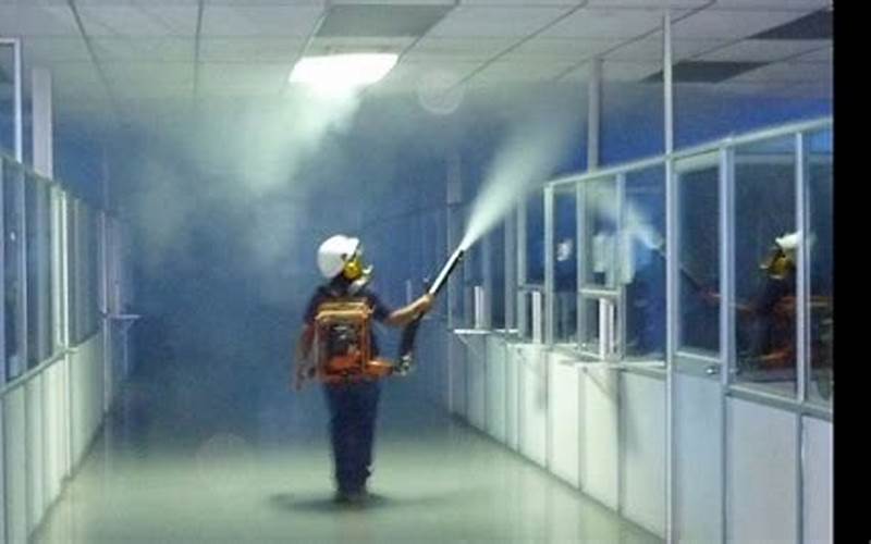 During The Fumigation Process