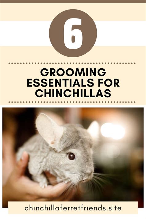 Dust Baths and Grooming