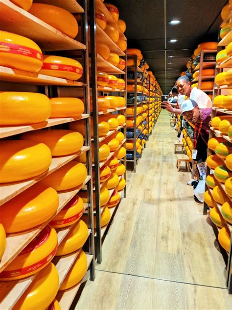 Dutch Cheese Experience