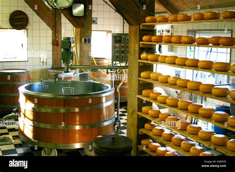 Dutch Cheese Making