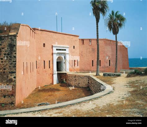 Olandesi in Senegal