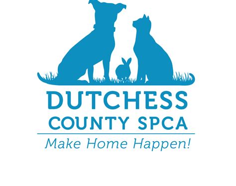 Dutchess County Spca Volunteer