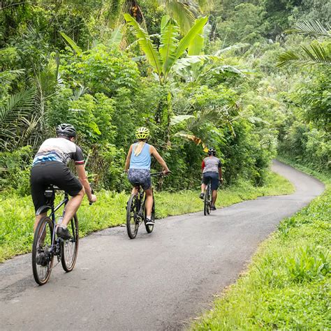 E-Bike Ride Experience