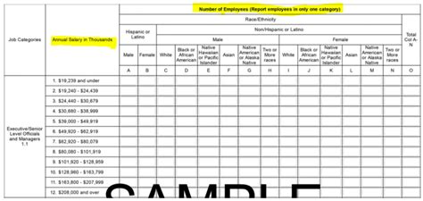 EEO 1 Component 1 Template FAQs