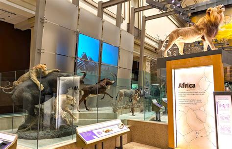 EPIC Museum exhibits