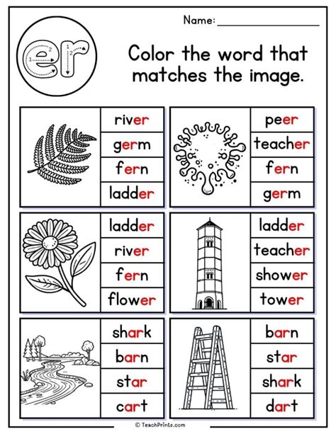 Er Words Worksheet