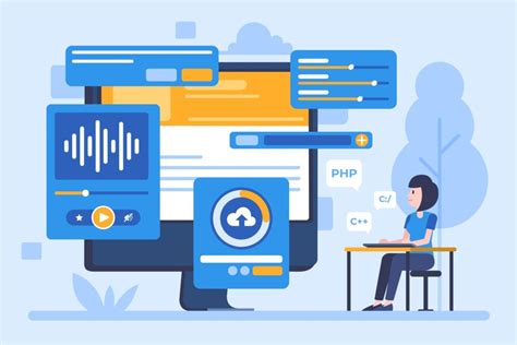 ERP Developer