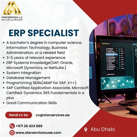 ERP Professional Services