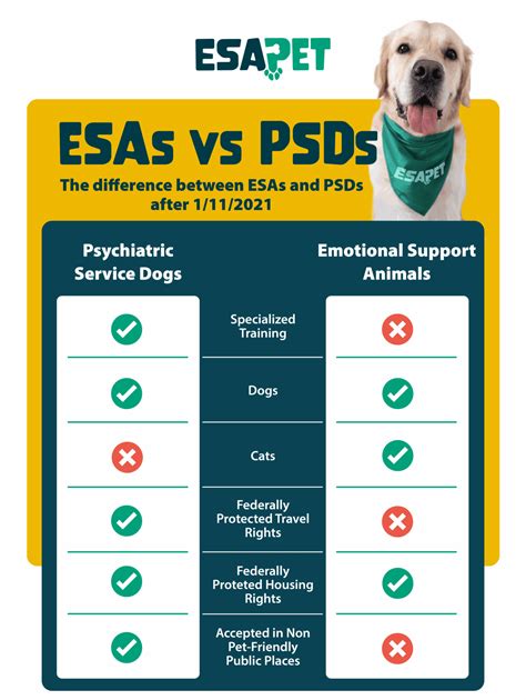 ESA vs. Service Animal: Know the Difference