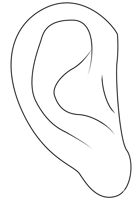 Ear Coloring Page