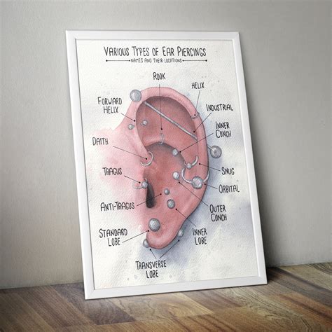Ear Piecing Chart