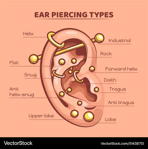 Ear Piercing Chart Names – Free Printable Guide & Reference