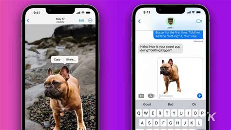 Easily Remove Backgrounds from Images in iOS 16