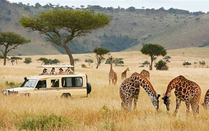 East Africa Safari